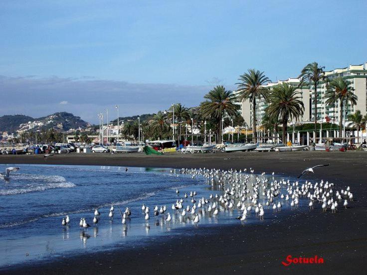 Apartamento Cerca Del Mar Málaga Exterior foto